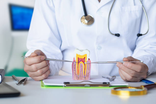 Best Cosmetic Emergency Dentistry in Metter, GA